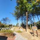 조성중학교 이미지