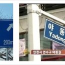 동네방구