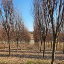 부안농장 이미지