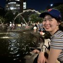 나미라인