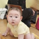 영아