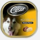 여우야늑대야 이미지