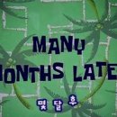 인플라워 이미지