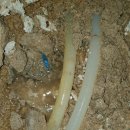 강진효요양병원 이미지