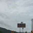 (주)수협개발 | 2025년 가족 여행 2일차 :) 완도치유페스타