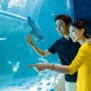 아쿠아데이 이미지