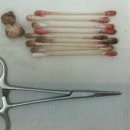 뉴월드 동물병원 이미지