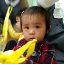 풀꽃무리어린이집 이미지