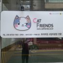 캣프렌즈 이미지