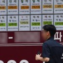 알버트부동산중개 이미지