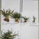 한영축산 이미지