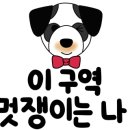 유앤동물의료센터 네이버블로그