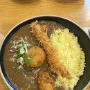 마곡 | 양천향교역 카레 찐맛집 맛있어서 N번째 방문한 아우라카레🍛