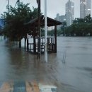 대전수미초등학교 이미지