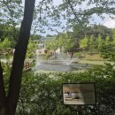 그 사람의 별장 | 청주 여행의 숨은 보석, 대통령 별장 청남대 방문 기록 (입장료부터 코스, 꿀팁까지)