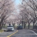 임고면행정복지센터 이미지