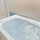 황금애견 이미지