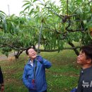 이재명농장 이미지