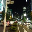 2011년 겨울 도쿄 여행 후기 1 이미지