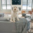아지스테이션