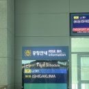 수현팜 | 4박 5일 이시가키 만타가오리 다이빙/Sea-Friends/스쿠버다이빙 업체 비교 + 태풍