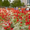 선착순 334명에 3만원 울산 숙박할인권 제공…관광객 유치. 이미지