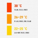 다차림 이미지