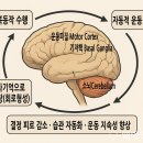 바디리셋 이미지