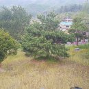 창촌3리 마을회관 이미지