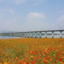 낙동강체육공원 농구장 이미지