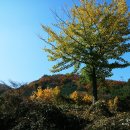 대암목장 이미지