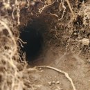 현대농약사 이미지