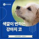 대곡동물병원 이미지