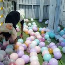 호텔 독스 이미지