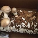 이성욱농장 이미지