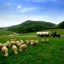 미래목장 이미지