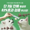 엘림랜드(주)
