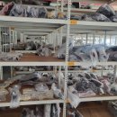 이화자동차 | 자동차 부품 직거래 사이트 비교, 어디가 안전하고 가격도 합리적일까?