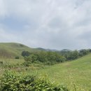 명보장여관 | [서산+당진여행] 서산동부시장 / 용비지 / 용장천 / 아미미술관 / 카페피어라