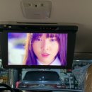 엑스엠 이미지