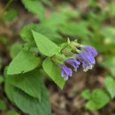 횡성(강릉) 이미지