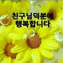 나무조아