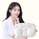 드라이앤크리닝 | 슬립앤슬립 아이유 깊은잠베개 S, 한 달 사용 솔직 후기