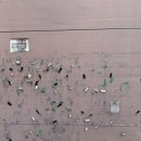 광명장여관 이미지