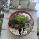 초등여아매직펌후기 학교참관수업 동탄 손톱멍 병원 피고임 피빼기 정형외과