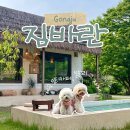 공주애견 | [공주/짐바란] 애견동반카페 추천｜발리컨셉 카페 & 계곡까지 있는 짐바란🌴 내돈내산 후기