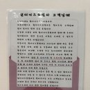 우주펜션 | 강원도 홍천가족펜션 원더키즈풀빌라 여름휴가로 다녀온 솔직 후기