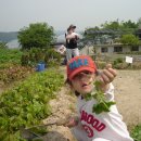 은지농장 이미지