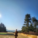 온그린 스크린골프 이미지