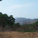 여명농장 이미지